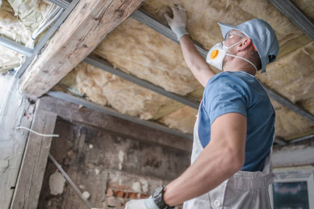 Best Commercial Insulation Services  in Fernley, NV